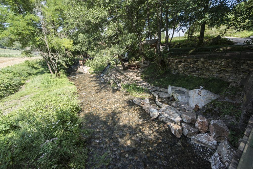 Apartamento Gradacka Banja Brvnare Exterior foto